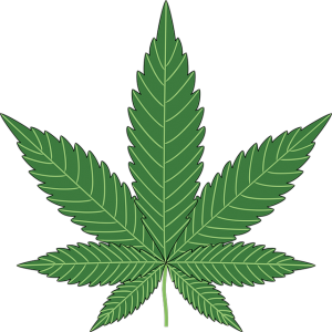 When Marijuana Was Criminalized