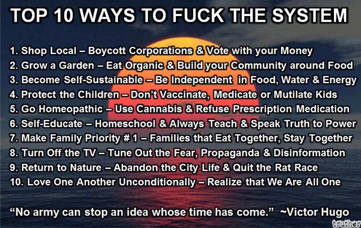 Fuck the system