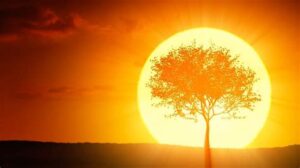 Be the light