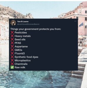 Your mafia government protects you from