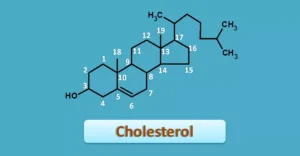 The scam of High Cholesterol