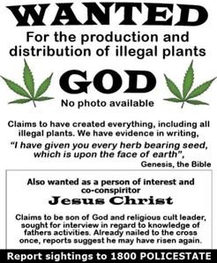 Wanted for the production of hemp plants