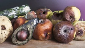 The evils are making food go rotten fast